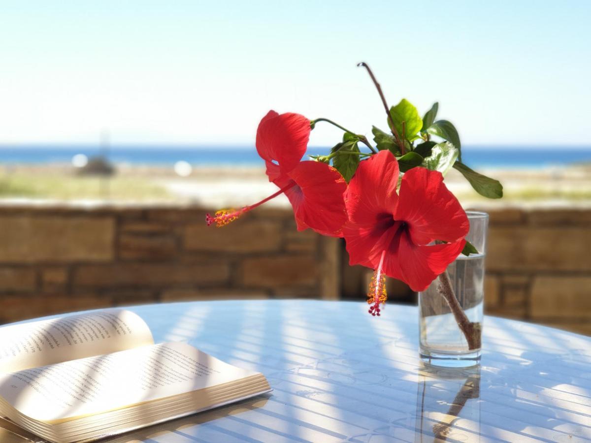 Kyma Apartments - Naxos Agios Prokopios Esterno foto